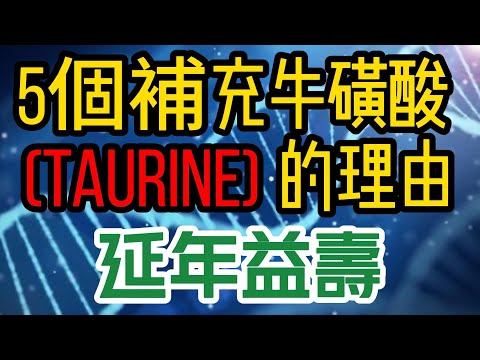 5個補充牛磺酸 (Taurine) 的理由以延年益壽!