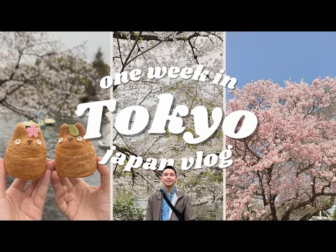 JAPAN VLOG 🌸 Tokyo in 7 days during Cherry Blossom Season