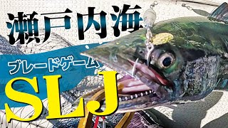 SLJで青物を狙い撃ち！in瀬戸内海【ブレードジギング】