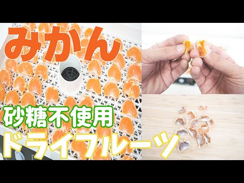 【おいしい乾燥時間は？】みかんのドライフルーツ作り（ドラミニ）