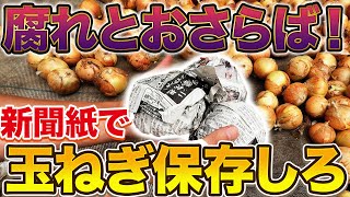 【たった1分で終わる】玉ねぎ長期保存するためにやって欲しい新聞紙を使ったマル秘テク