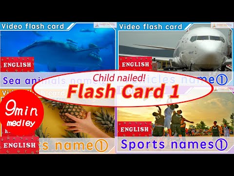 [English] Flashcard 1 Moving video ver. Words for babies and toddlers Early childhood education