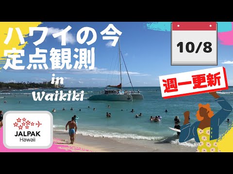 【ハワイの今】ワイキキ定点観測  2024年10月8日