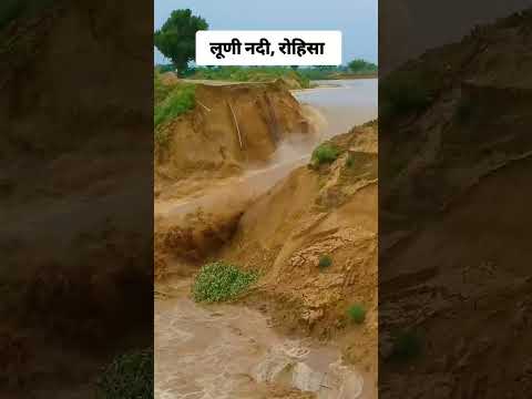 लूणी नदी में आई बाड़  हद है ऐसे लोगों की बाड़ में सब कुछ बह गया #haridwarganga #gangajih