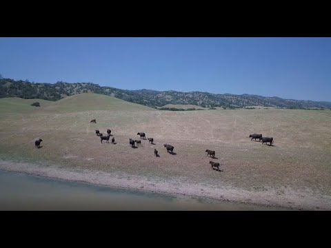 The Power of Data: Improving the Management of Rangeland Ecosystems