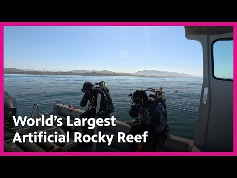 Wheeler North Reef: The World's Largest Artificial Rocky Reef