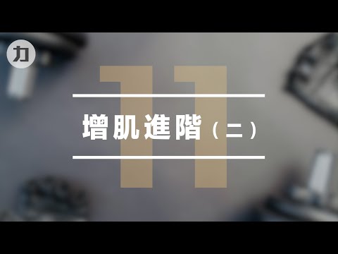 【Day11】增肌進階（二）