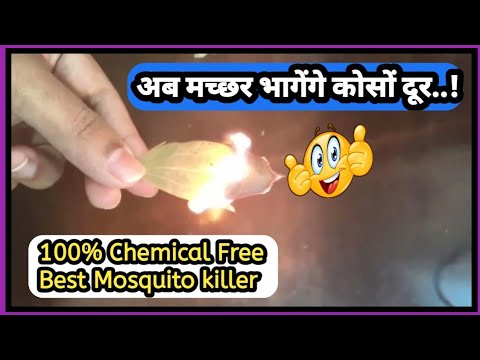 💥मच्छर भगानेका ऐसा जबरदस्त तरीका आपने कभी नही देखा होगा।Macchar marne ka tarika।How to kill mosquito