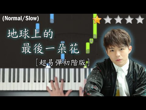 「鋼琴教學」地球上的最後一朵花 (超易彈初階版)－陳卓賢 Ian Chan @ MIRROR | Piano Cover 琴譜