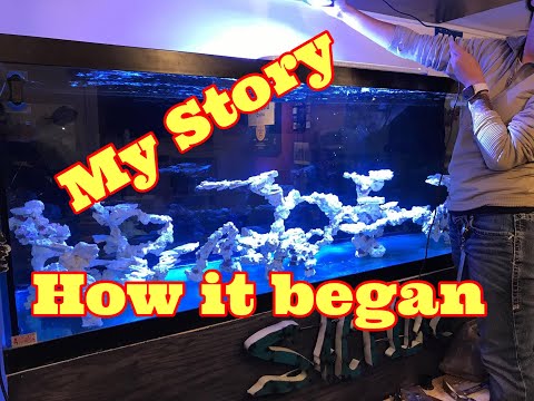 My Reef Keeping Story (How It All Began) Part 1