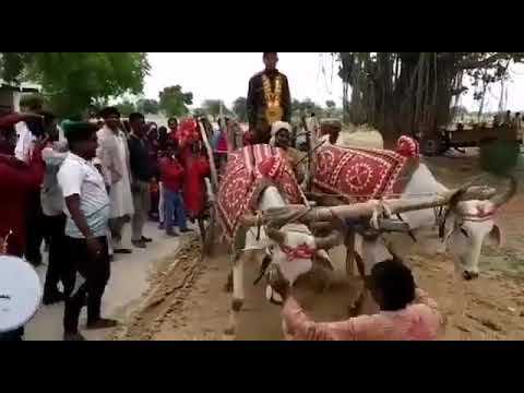 Chhatarpur, not this procession welcome to the youth of the village after being selected in the army