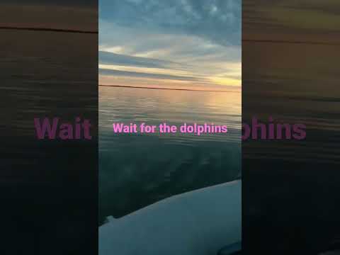 #sunsets #dolphins and #combustion