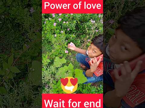 power of love,#viral#shortvideo#ytshorts