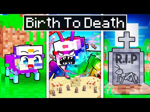 BIRTH To DEATH of an ANT in Minecraft!