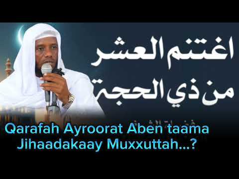 Qarafak Qimboh Ayroora Aben Taama Jihaadakaay muxxuttah inna...? #Drmacammadsaani