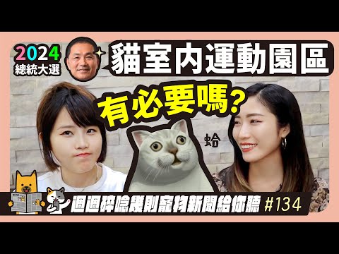 EP.134 總統大選：貓室內運動園區，有必要嗎？｜毛爸媽碎碎唸