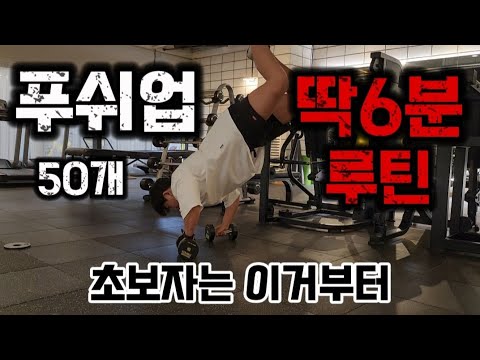 푸쉬업 (50개 6분) 홈트레이닝 운동 초보자는 이거부터 6분루틴