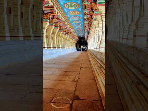 Beautiful Ramanathaswamy Temple ❤️ #tamil #rameshwaram #ram #temple #youtubeshorts #trending #music