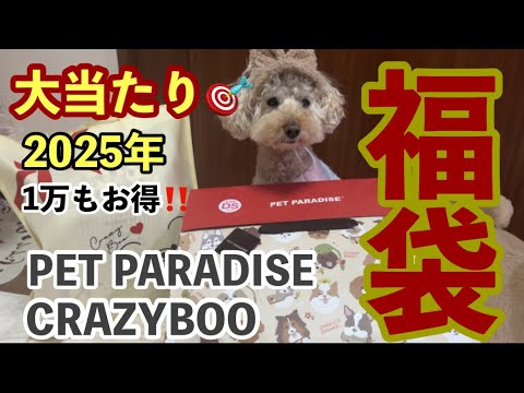 【ペットパラダイス クレイジーブー 福袋2025年】大当たりすぎました❣️福袋開封していく！