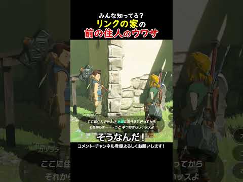 リンクの家の前の住人ってどんなひとなんだろう...？#ゼルダの伝説ブレスオブザワイルド  #ゲーム実況  #ゼル伝 #zelda #ゲーム #ブレワイ #ブレワイ 実況