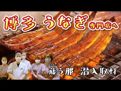 【福岡】博多うなぎ専門店「藤う那」美味さの秘密を潜入取材！