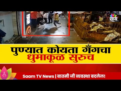 Special Report:Pune Koyta Gang पुण्यात कोयता गॅंगचा धुमाकूळ सुरूच