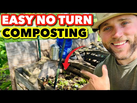 I QUIT TURNING MY COMPOST PILES. HERE IS WHAT HAPPENED