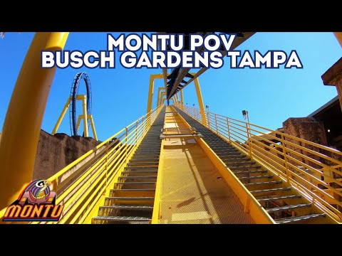 Montu Front Row POV - Busch Gardens