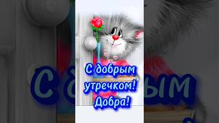 С Добрым утречком!#shorts