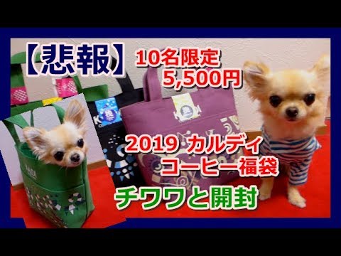 【悲報】20１9カルディコーヒー福袋☕10個限定5500円含む🌟チワワと開封レビュー📢～Open KALDI Coffee Lucky Bag with Chihuahua