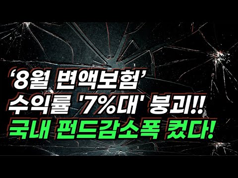 변액보험 수익률 하락...주식형 펀드 국내 0.51%p, 해외 0.47%p 하락