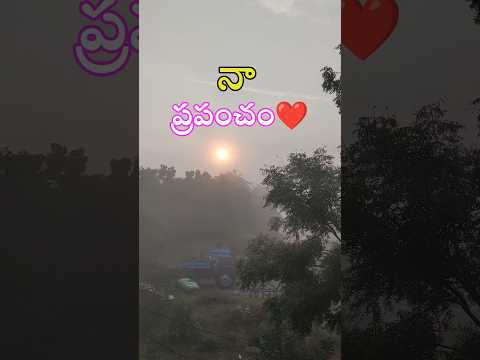 పల్లెటూరి అందాలు 💕🥰 I అందమైన ప్రపంచం I Village Life I Mini Vlog II Tasty Vindu #shorts #village