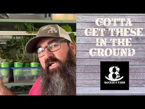 First Garden Tour Of 2022 | Central Texas Gardening