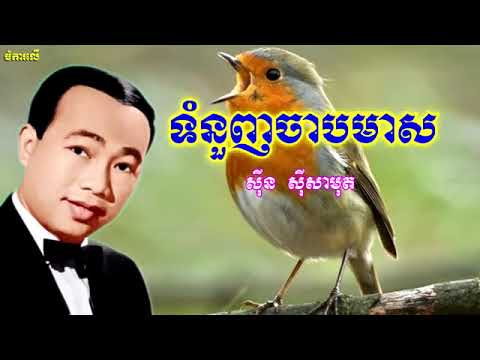 ទំនួញចាបមាស  ច្រៀងដោយ សុីនសុី សាមុត