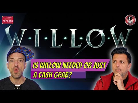 Is Willow needed or just another cash grab?