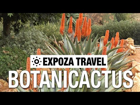 Botanicactus (Spain) Vacation Travel Video Guide