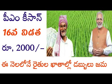 pm kisan 16th installment date 2024 telugu//pm kisan 16th installment date 2024