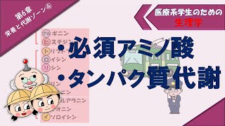 生理学　栄養と代謝ゾーン④　「必須アミノ酸」「タンパク質代謝」