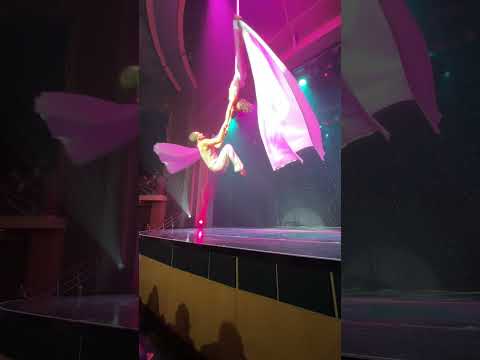 #shorts Royal Caribbean - Duo Quintessence - Aerialist & Acrobat Show