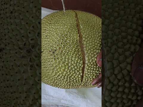 పసందైన పనసకాయ కట్ చేద్దాం రండి #jackfruit #fruitcutting #shorts #youtubeshorts #trending #viral