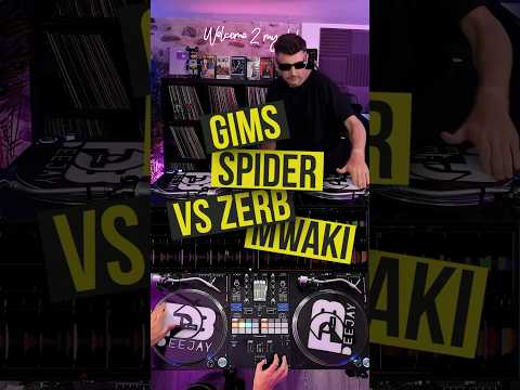 Mashup Gims spider vs zerb mwaki 🏎️💨! #deejayfdb #dj #mashup #pioneer #remix #bestremix2024 #gims