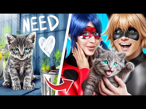 ¡El Gato fue Adoptado por Ladybug! ¡Trucos Secretos para Dueños de Mascotas!