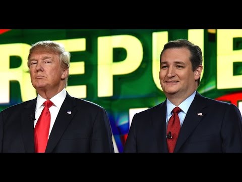 Newt Gingrich - Trump, Cruz and the Establishment