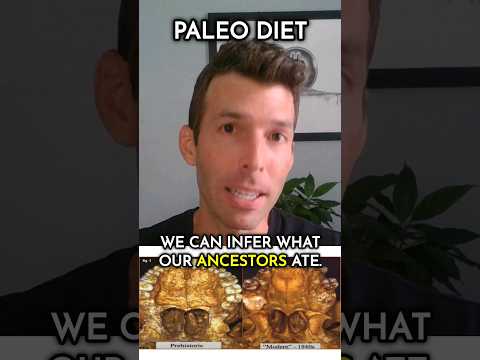 What is the paleo diet