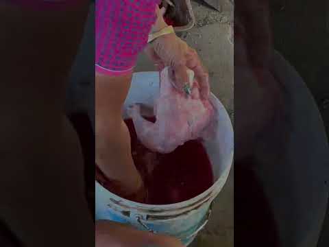 Chicken cutting by super fast woman #trending #shortvideo #surat #indianfood #viral #food #amazing