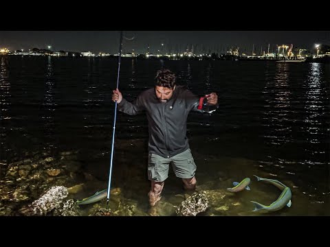 Catching FISH on the island and preparing the best dinner