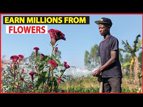 How he turned Flower growing into a profitable business. Earning millions now.