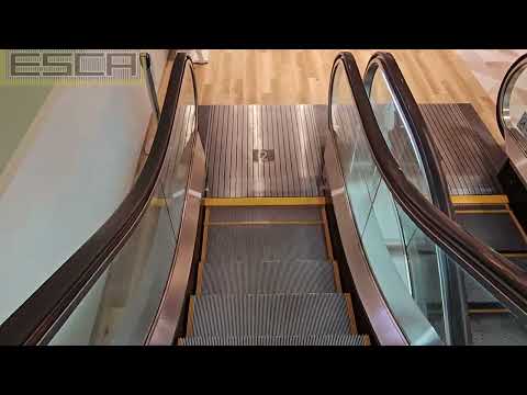 Aomori Station Building LOVINA Escalator 4F-1F Hitachi