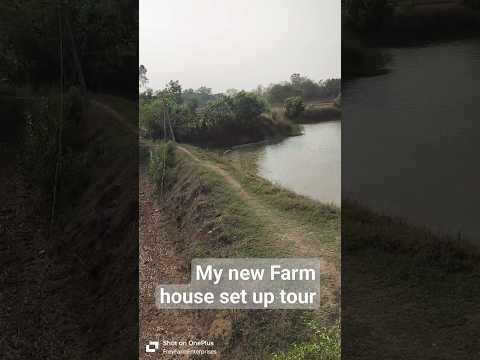 My new Farm house set up tour. #farming #farmhouse #farmer #plants