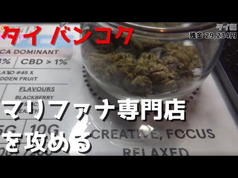 (#2)【2日目】タイはマリファナ(大麻) 事情はいかに！？マリファナ専門店に潜入調査《5万円で世界を歩く タイ編 》